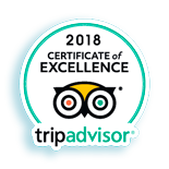 Best Excursions Alhambra for Tripadvisor