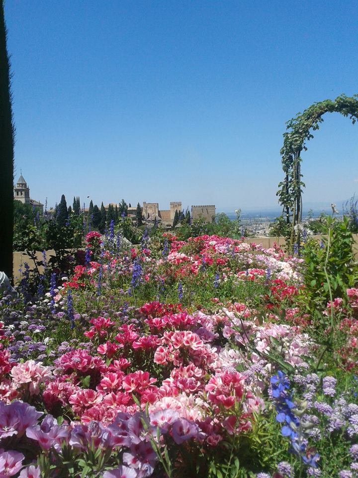 Visite guidée d'El Generalife dans l'Alhambra